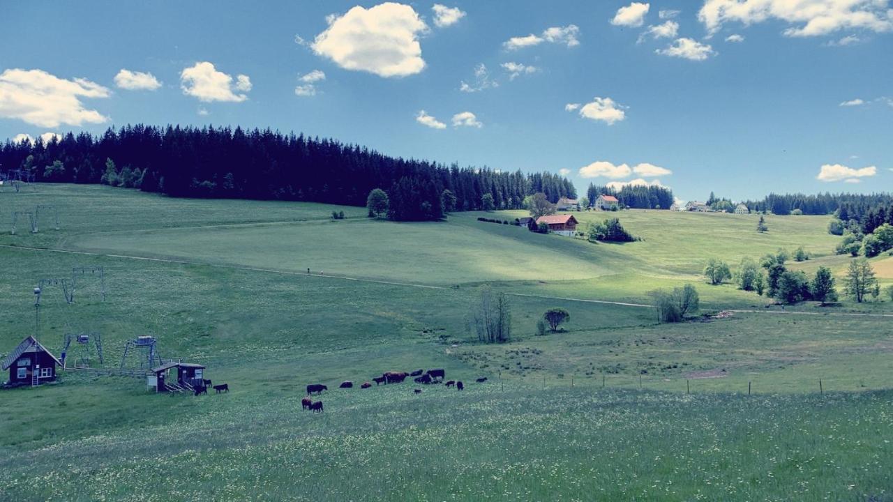 Daheim Im Hirschen Apartment Schönwalde Екстериор снимка